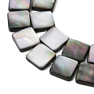 Natural Black Lip Shell Beads Strands SHEL-A006-09B-1