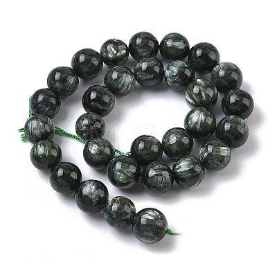 Natural Seraphinite Beads Strands G-C270-O01-13-1