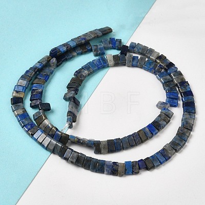 Natural Lapis Lazuli Beads Strands G-Z045-A11-01-1