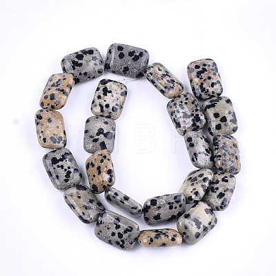 Natural Dalmatian Jasper Beads Strands G-T121-16-1