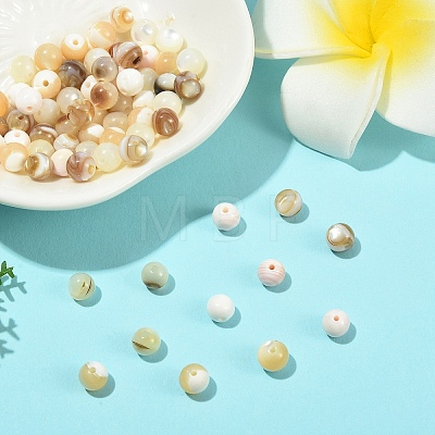 100Pcs 5 Styles Natural White Shell & Trochid Shell & Freshwater Shell Beads SSHEL-YW0001-17-1