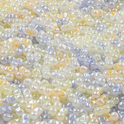 Glass Seed Beads SEED-K009-02B-21-1