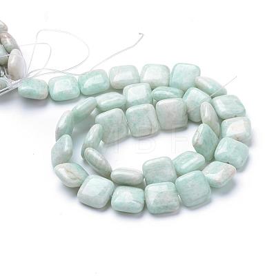 Natural Amazonite Beads Strands G-R413-02-1