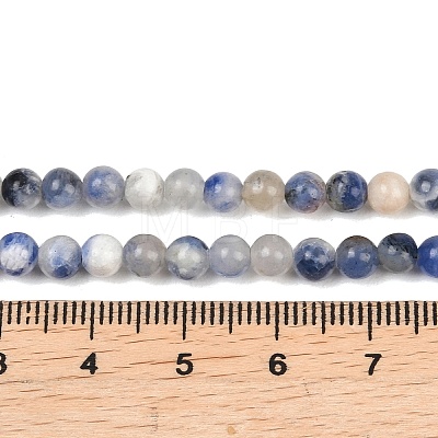 Natural Sodalite Round Bead Strands G-E334-4mm-08-1