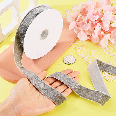 10 Yards Polyester Velvet Ribbon OCOR-TA0004-13C-1