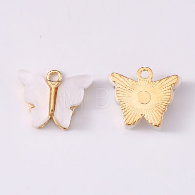 Alloy Acrylic Pendants ENAM-R136-01K-1