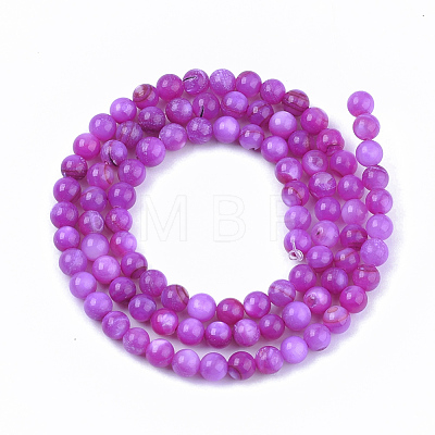 Freshwater Shell Beads Strands SHEL-S276-32F-1