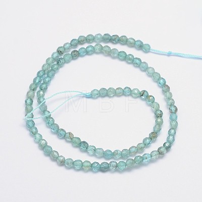 Faceted Round Natural Apatite Bead Strands G-I156-05-1