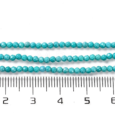 Natural Howlite Beads Strannds G-C025-02A-03-1