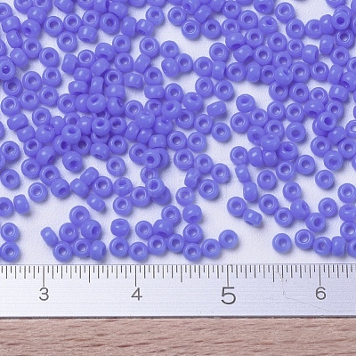 MIYUKI Round Rocailles Beads X-SEED-G007-RR0417L-1