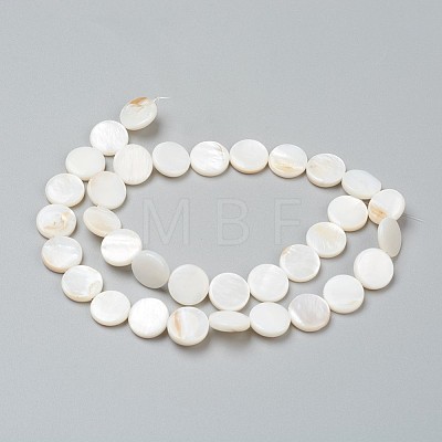 Natural Freshwater Shell Beads BSHE-I011-01E-02-1