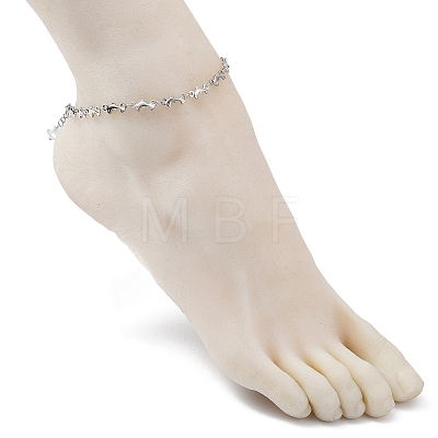 304 Stainless Steel Dolphin Link Chain Anklet AJEW-AN00559-1