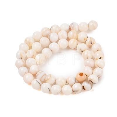 Natural Freshwater Shell Beads Strands SHEL-T011-02-8mm-1