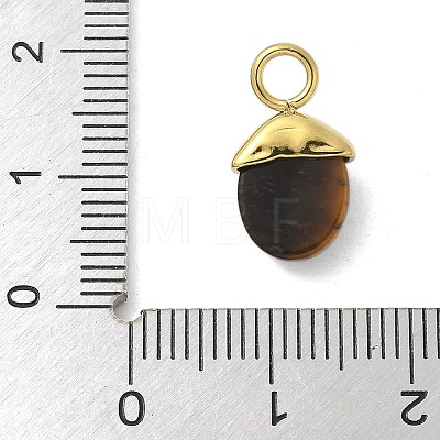 304 Stainless Steel Natural Tiger Eye Pendants STAS-L277-07G-01-1