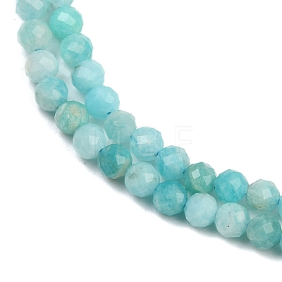 Natural Amazonite Beads Strands LS-G-P572-B04-A-1