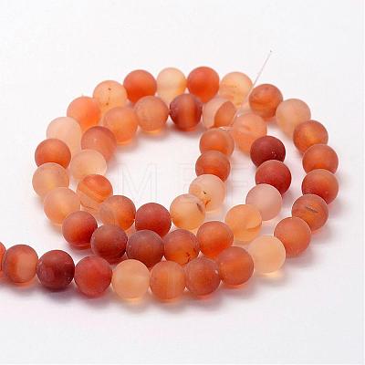 Frosted Natural Carnelian Beads Strands G-F372-10mm-1
