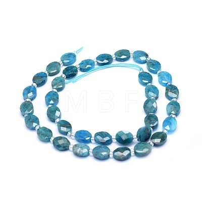 Natural Apatite Beads Strands G-L552J-01B-1