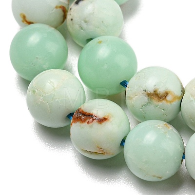Natural Green Opal Beads Strands G-R494-A08-02-1