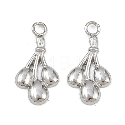 Fruit 304 Stainless Steel Charms STAS-H242-03P-05-1