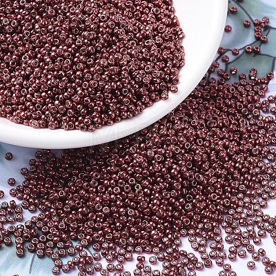 MIYUKI Round Rocailles Beads X-SEED-G007-RR1089-1