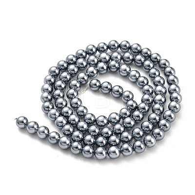 Electroplated Natural Shell Beads Strands SHEL-F008-03A-11-1