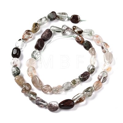 Natural Lodolite Quartz Beads Strands G-G018-66-1