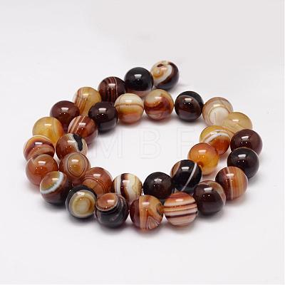 Natural Striped Agate/Banded Agate Bead Strands G-K155-A-10mm-07-1