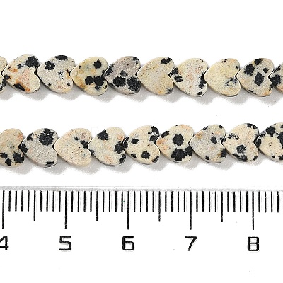 Natural Dalmatian Jasper Beads Strands G-M403-A31-02-1