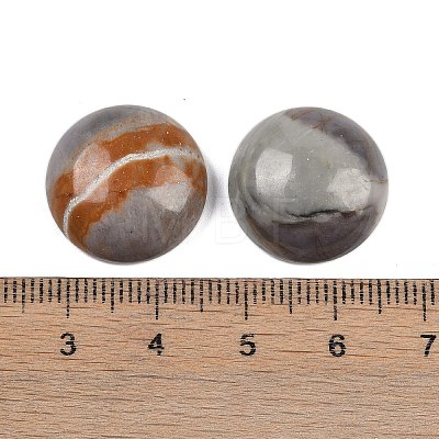 Natural Picasso Jasper Cabochons G-T020-18mm-42-1