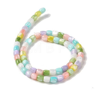 Natural Trochid Shell/Trochus Shell Beads Strands BSHE-H018-05-1