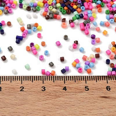 Baking Paint Glass Seed Beads X-SEED-S042-05B-48-1