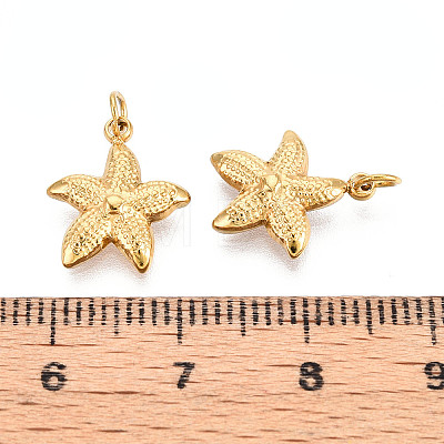 304 Stainless Steel Charms STAS-N115-07G-1
