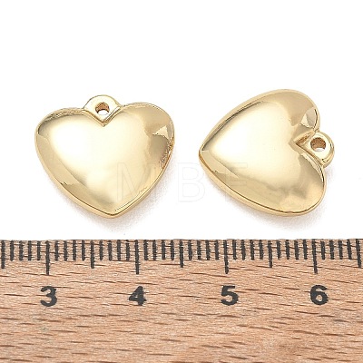 304 Stainless Steel Pendants SA-CBA3037-20G-09-1