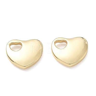 304 Stainless Steel Charms SA-CBA3037-20G-02-1
