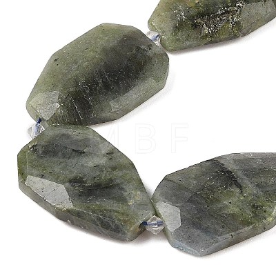 Natural Labradorite Beads Strands G-P548-B14-01-1