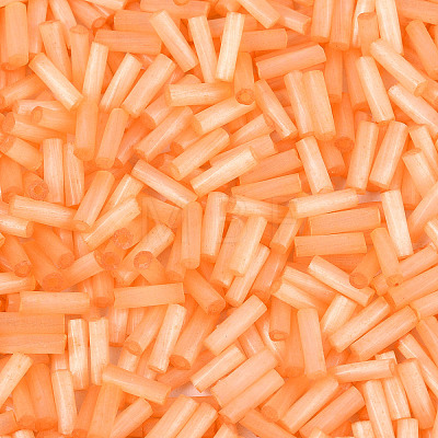 Glass Bugle Beads SEED-N007-28L-1