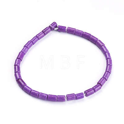 Synthetic Howlite Beads Strands G-F647-12C-1