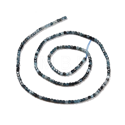 Natural Tourmaline Beads Strands G-C009-B10-1