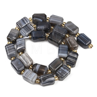 Natural Botswana Agate Beads Strands G-P611-A01-02-1