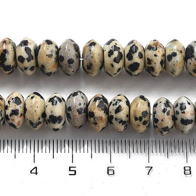 Natural Dalmatian Jasper Beads Strands G-P559-A01-02-1