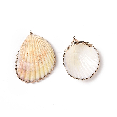 Shell Pendants SHEL-P075-03-1