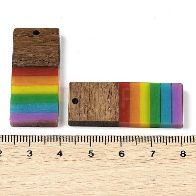 Pride Rainbow Theme Resin & Walnut Wood Pendants WOOD-K012-06B-1