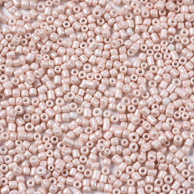 Glass Seed Beads SEED-S060-A-F407-1