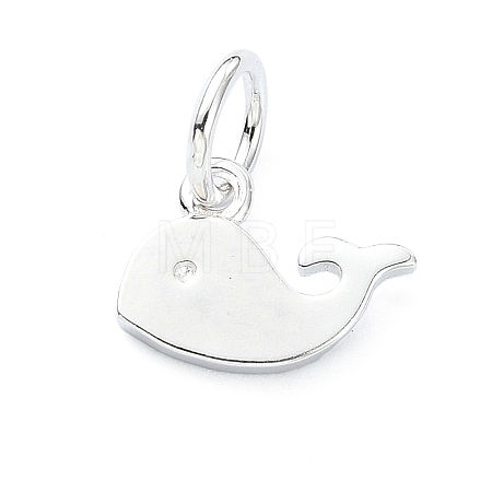 925 Sterling Silver Charms STER-M119-09A-S-1