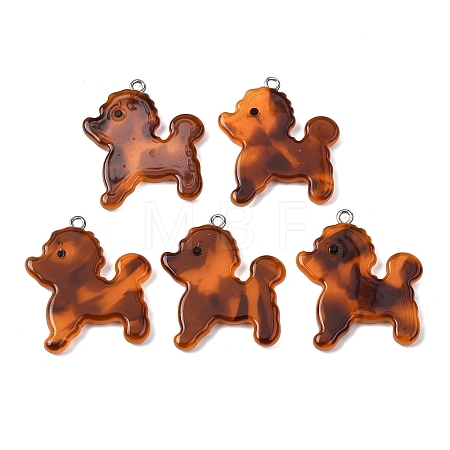 Opaque Cellulose Acetate(Resin) Pendants RESI-B042-02C-1