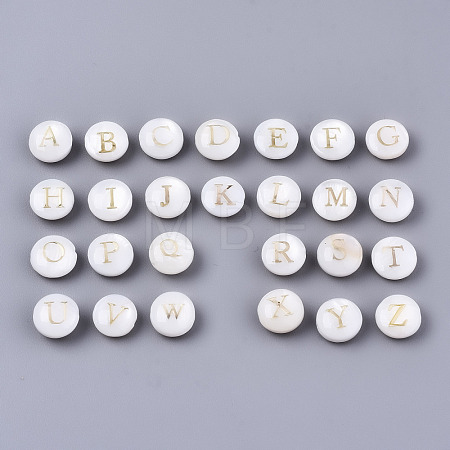 Natural Freshwater Shell Beads SHEL-S266-12-1