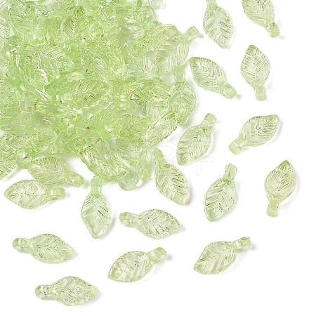 Transparent Acrylic Charms X-TACR-F009-11B-1