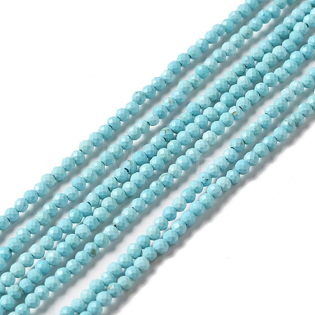 Natural Howlite Beads Strands G-C025-03A-01-1