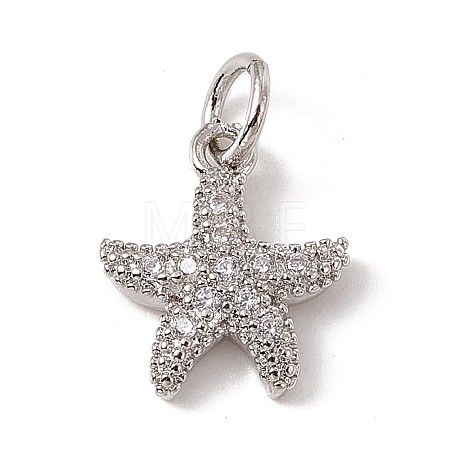Brass Micro Pave Cubic Zirconia Charms ZIRC-F132-13P-1