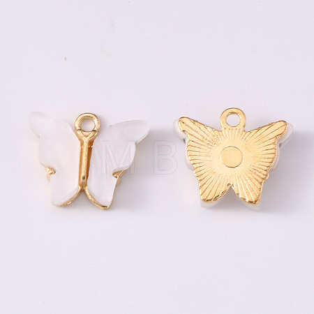 Alloy Acrylic Pendants ENAM-R136-01K-1